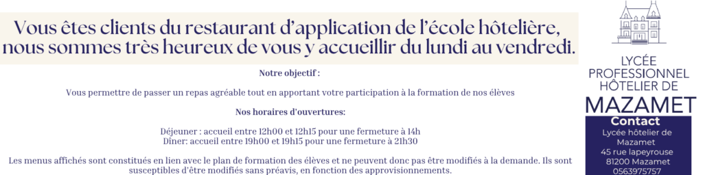Banniere LinkedIn Profil Simple Bleu 2
